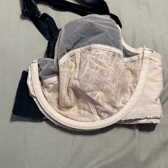 Sophie Theallet for Cacique Bra in Nude with Black Lace Size 42DD - Picture 5 of 7